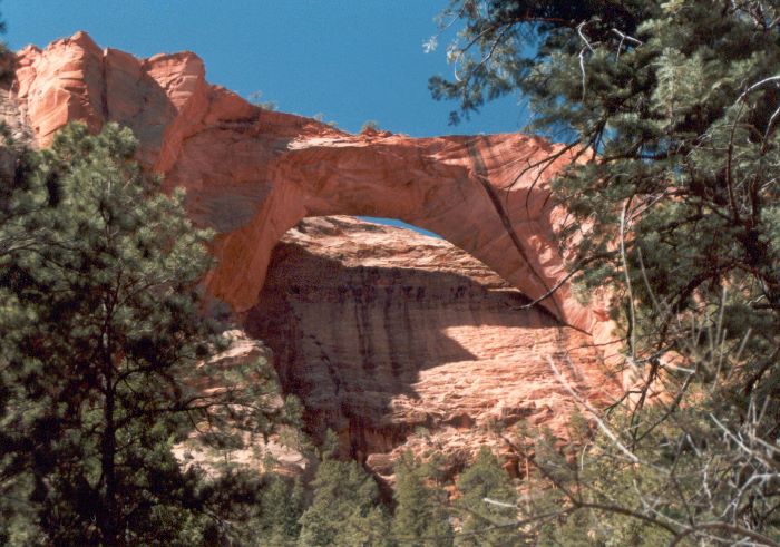 ../Images/071.Zion Canjon.jpg